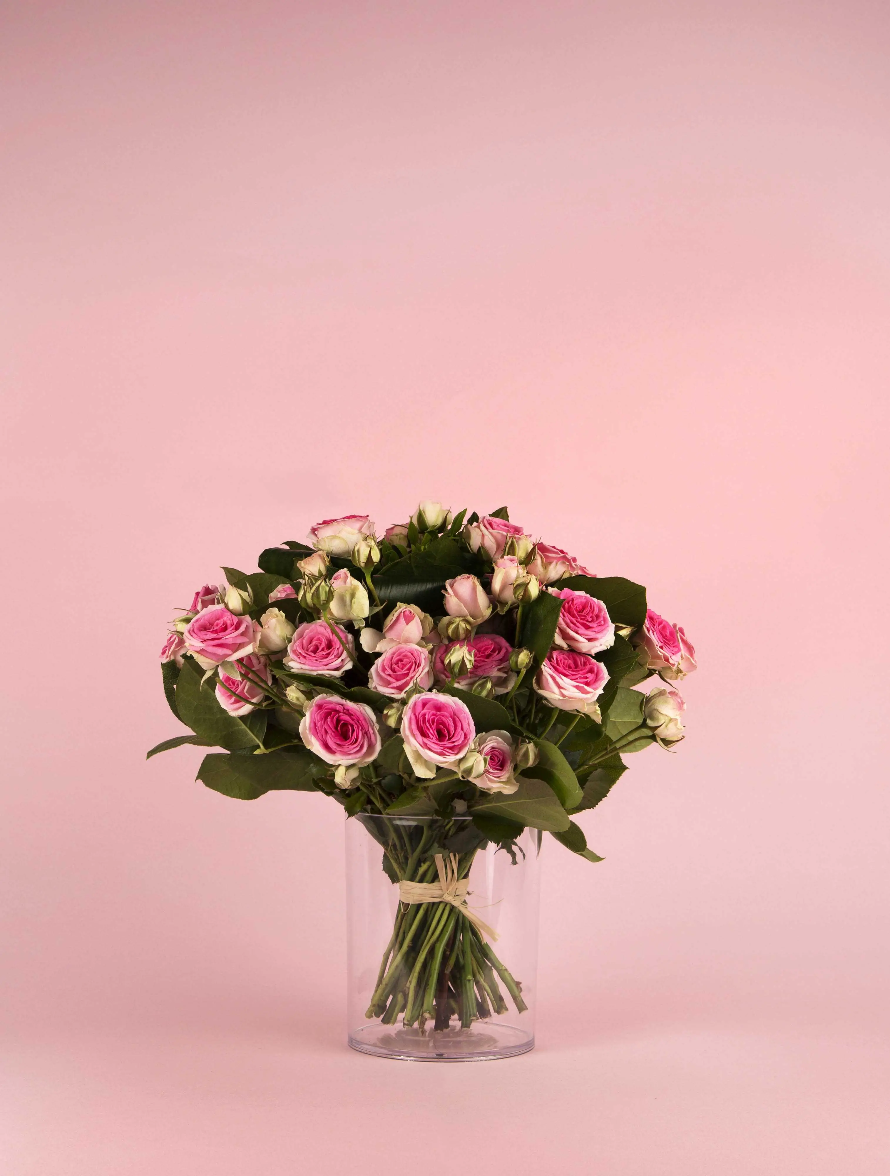 Mini eden - roses originales