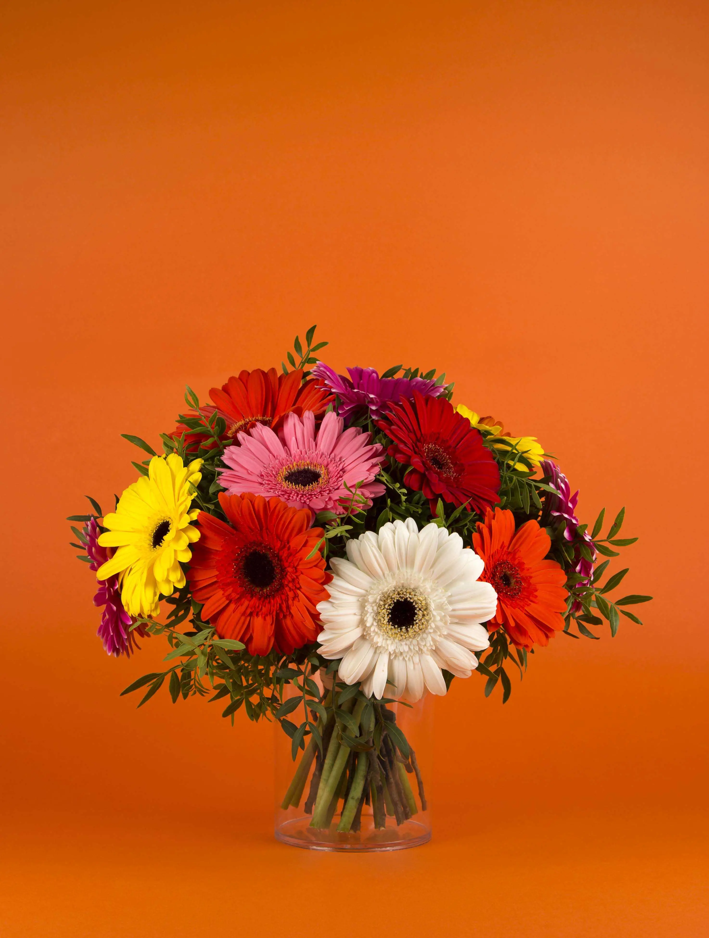 Bouquet de couleurs - gerbera