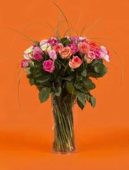 Bouquet de roses multicolores