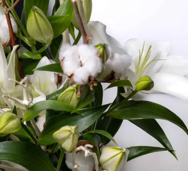bouquet de lys avec branches de coton