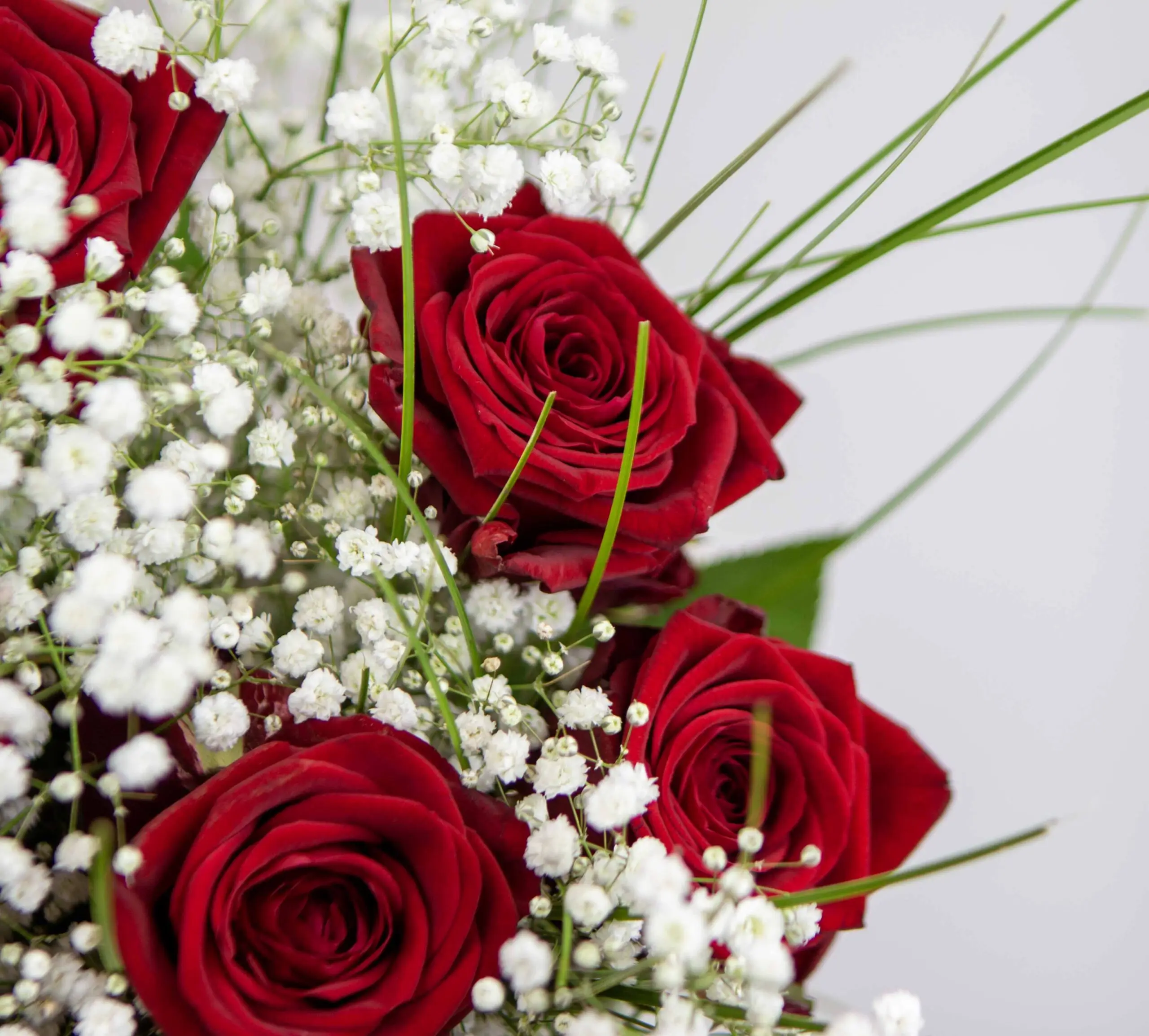 Bouquet déclaration : 8 roses rouges red eagles, gypsophiles, beargrass