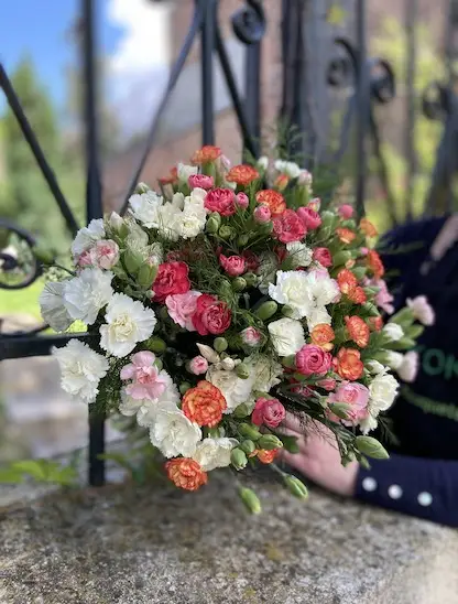 Œillets en fleurs de différentes couleurs