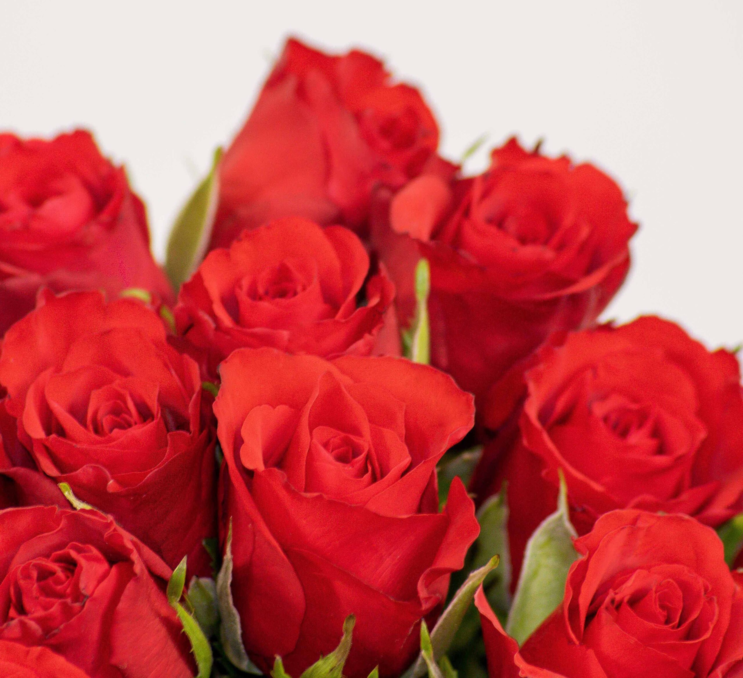Bouquet de roses rouges - Kokomo