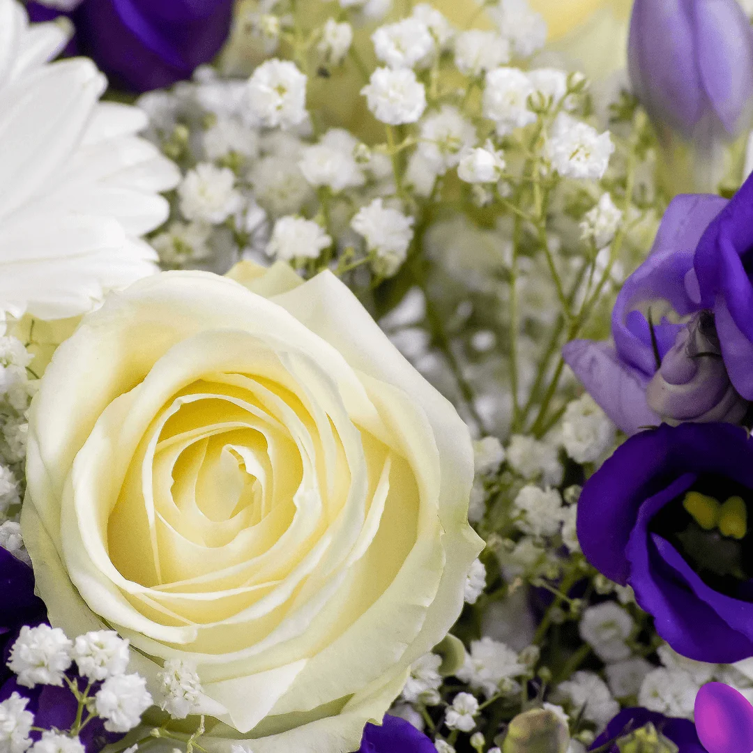suffragette : roses blanches, lisianthus mauves, germinis blancs, freesias (mauves ou blancs), gypsophile