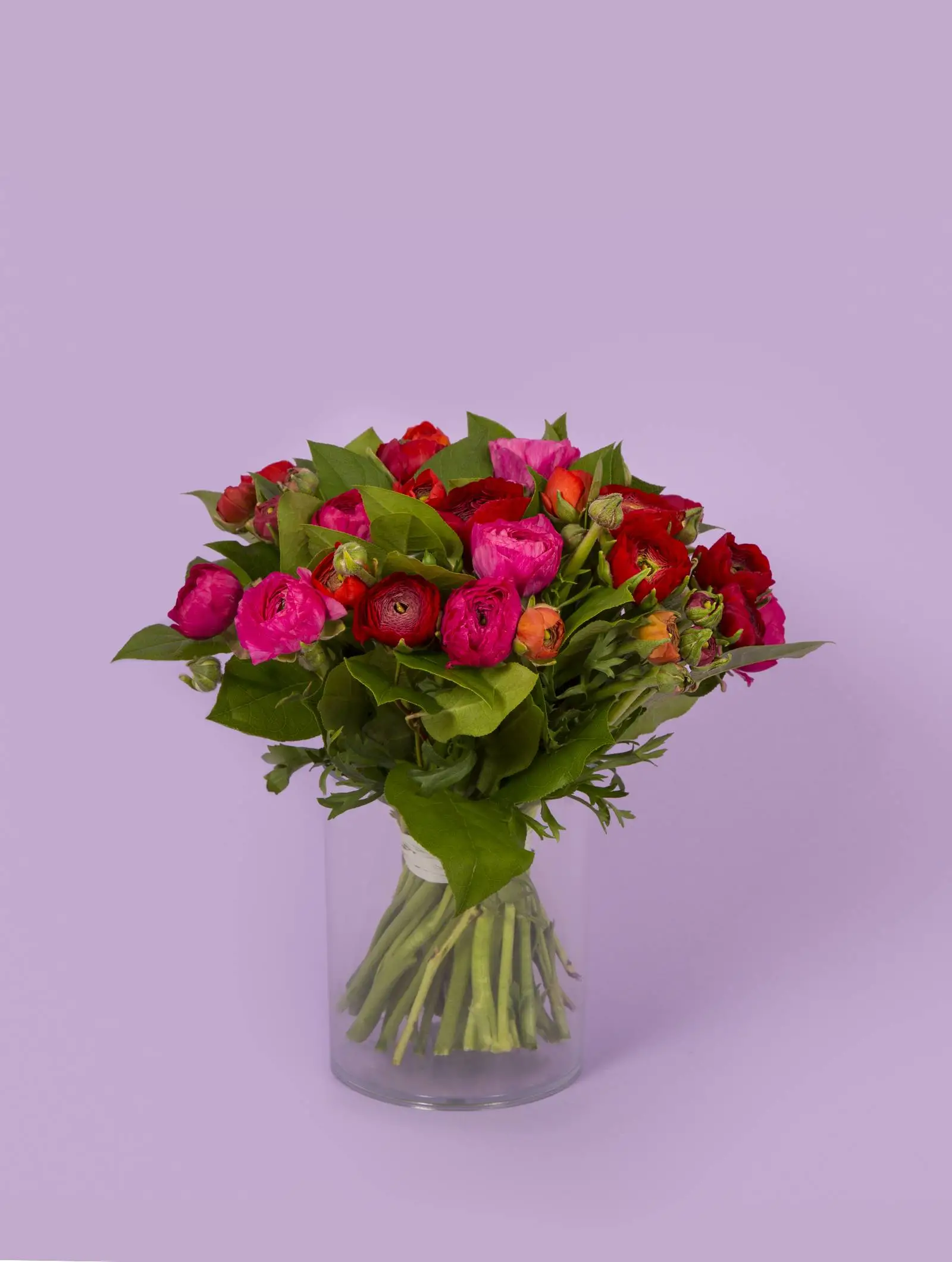 Bouquet de renoncules