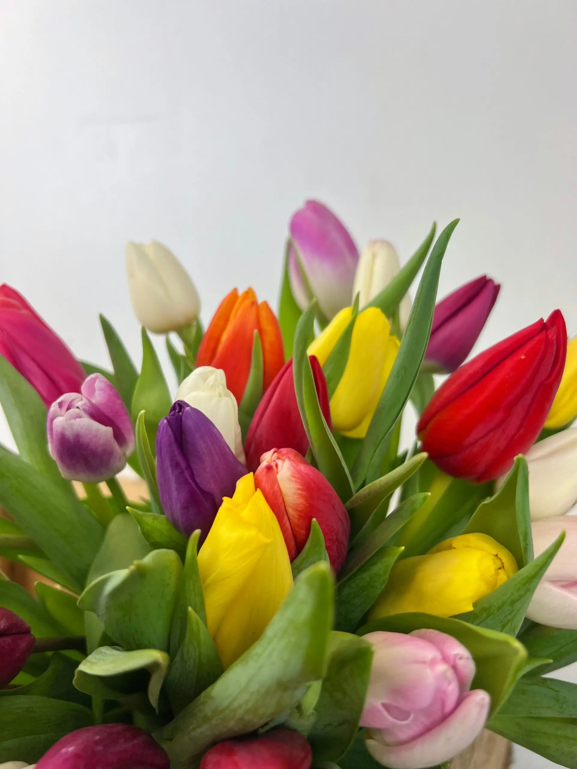 Bouquet de tulipes colorés