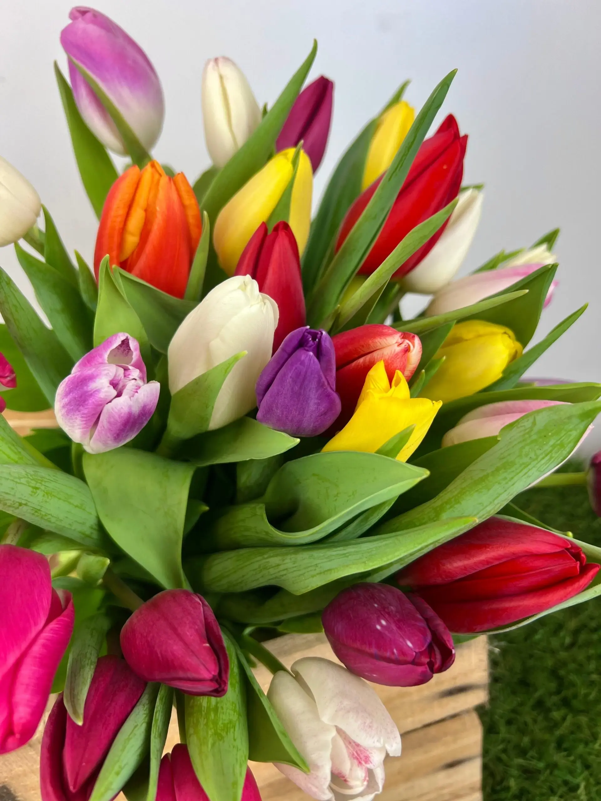Bouquet de tulipes colorés