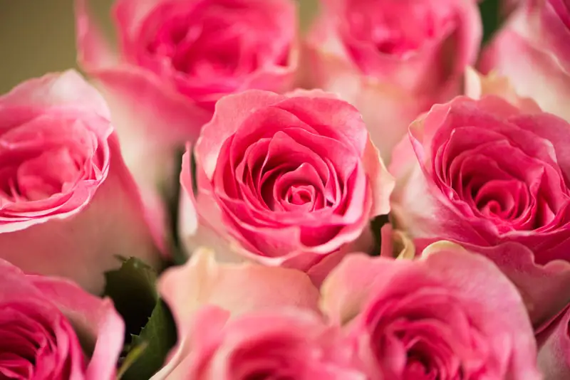 bouquet de roses : une attention romantique