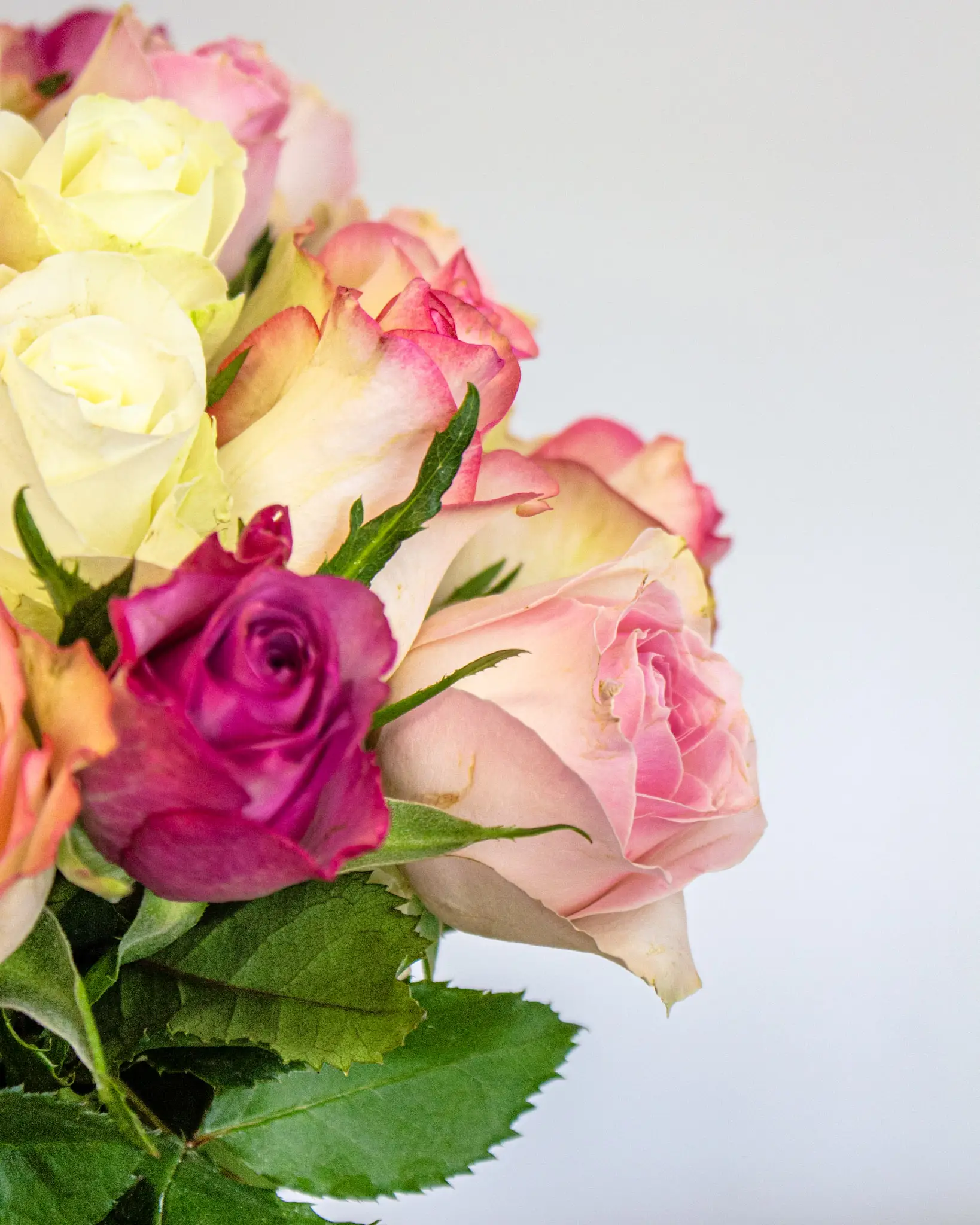 Bouquet Fiesta – Image 2