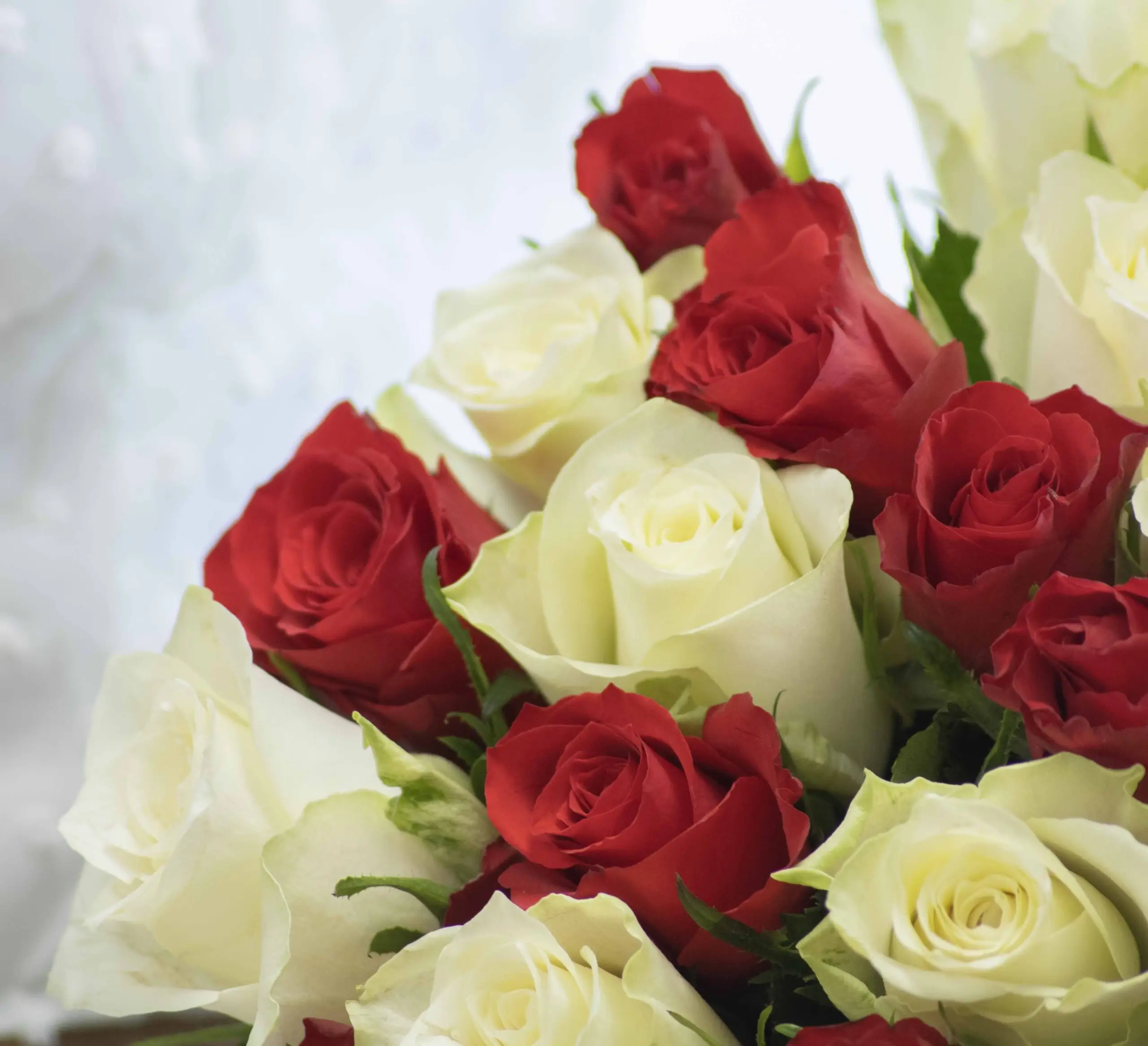 Bouquet Love Me : Roses Blanches, Roses Rouges