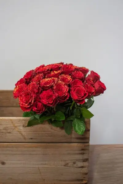Roses rouges pailletées