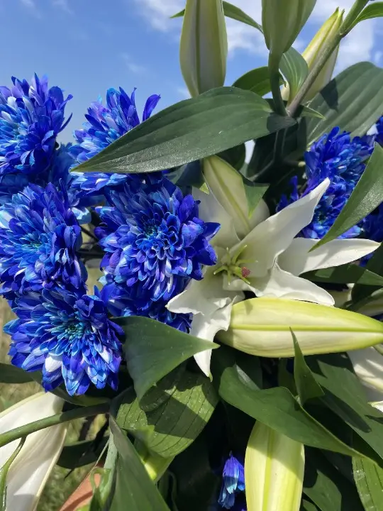 bouquet fête des pères bleu et blanc