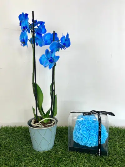 Combo spécial fête des pères