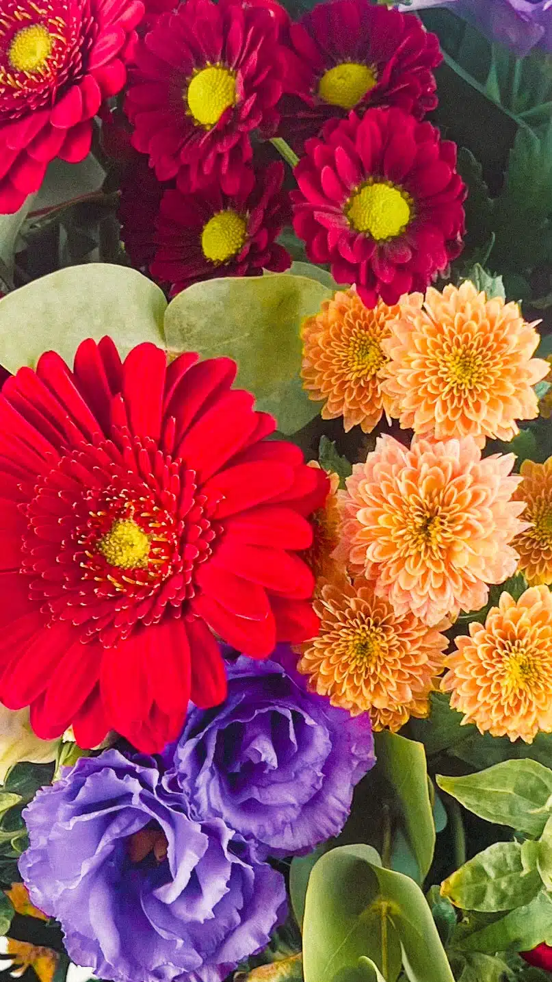 Bouquet à prix canon – Image 2