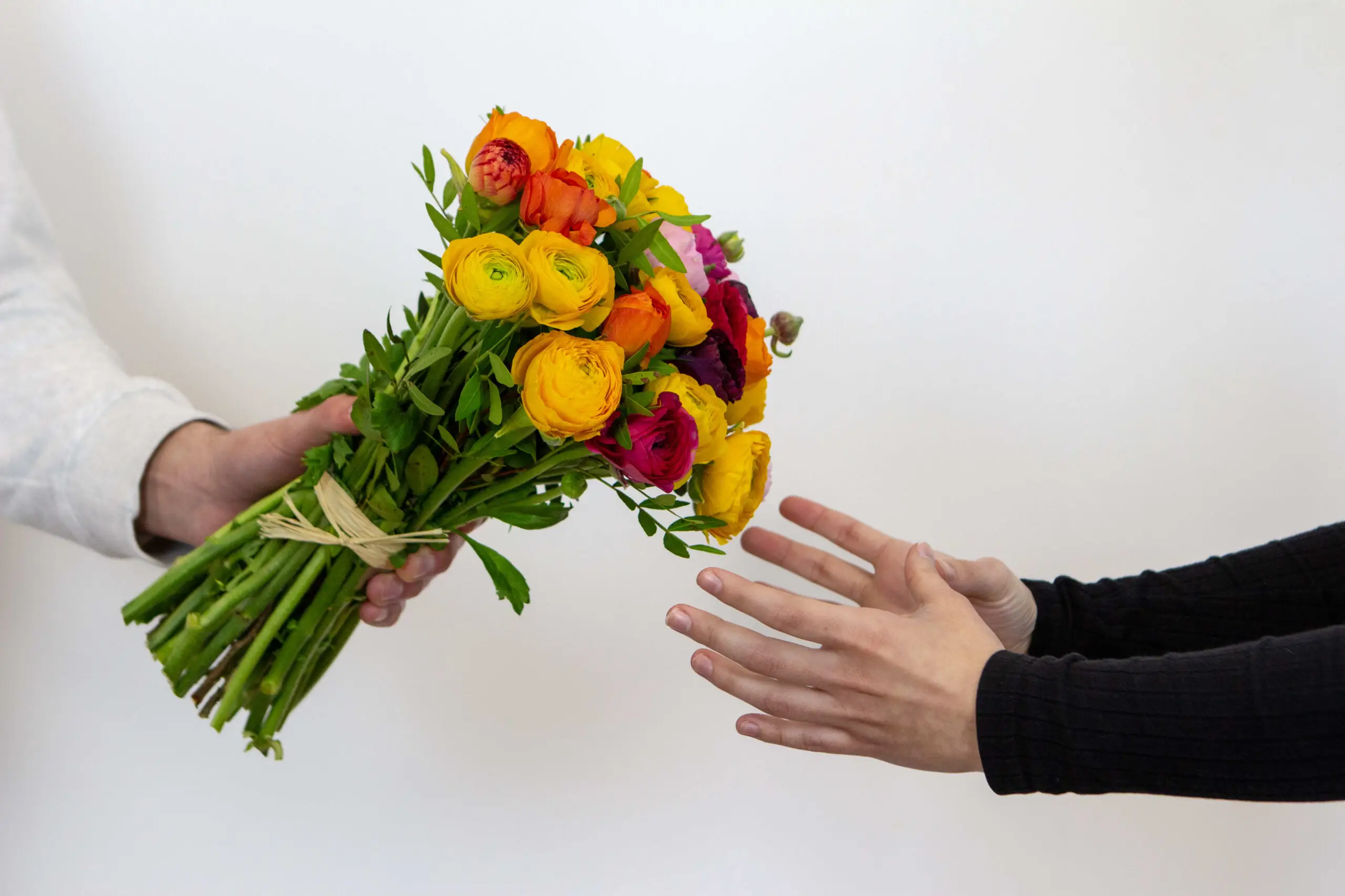Bouquet de renoncules colorées