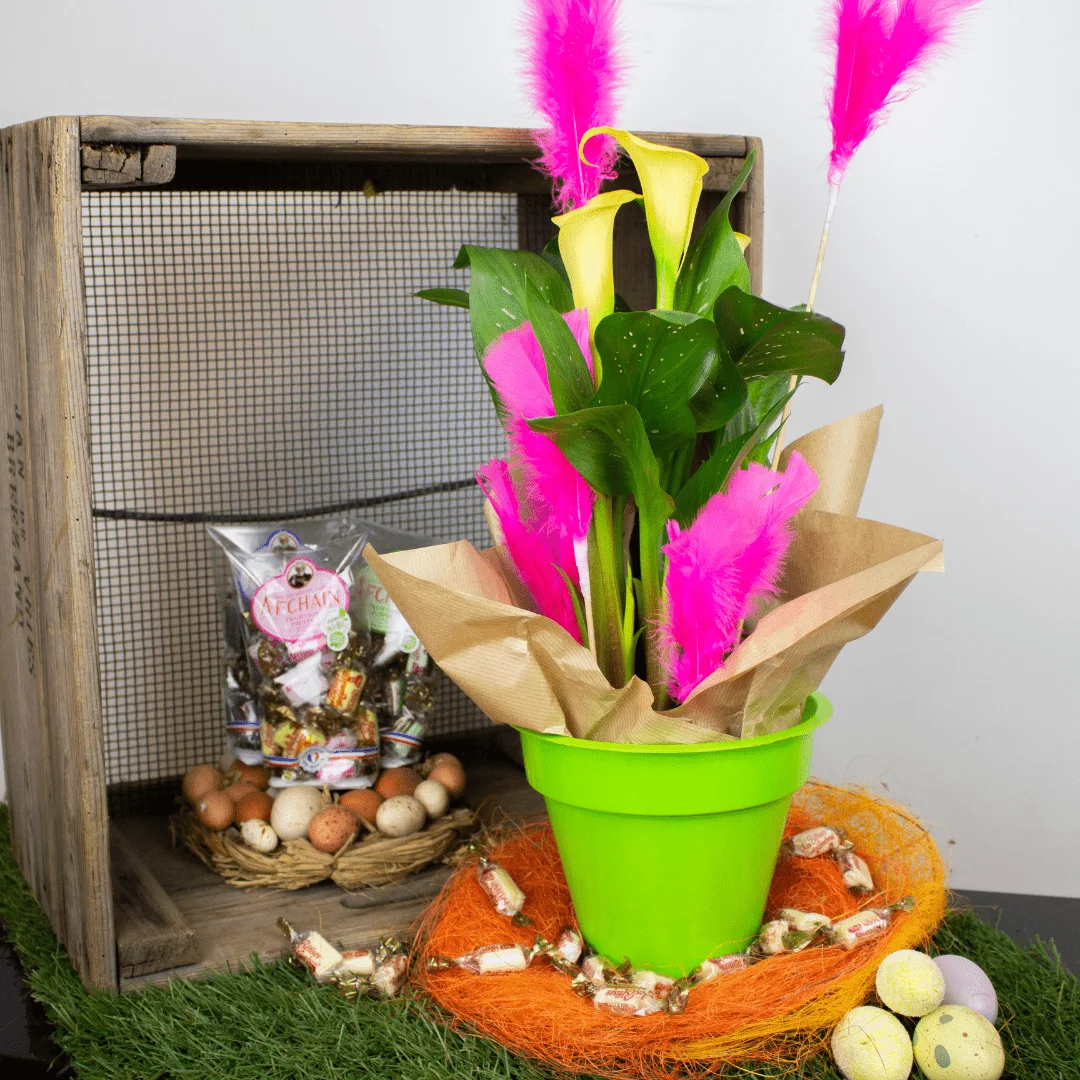 Calla de Pâques dans un pot rose avec des plumes roses