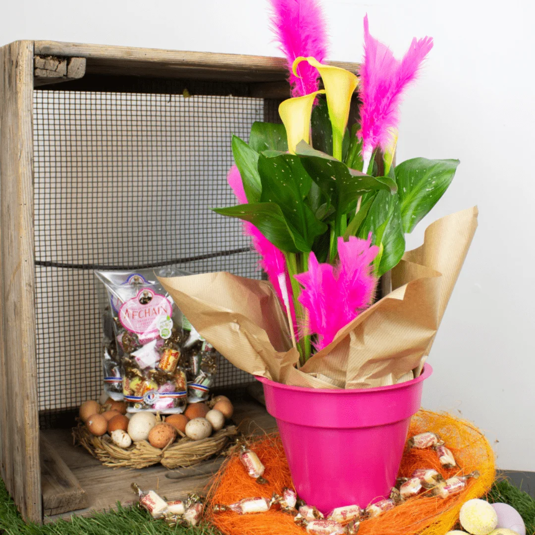 Calla de pâques