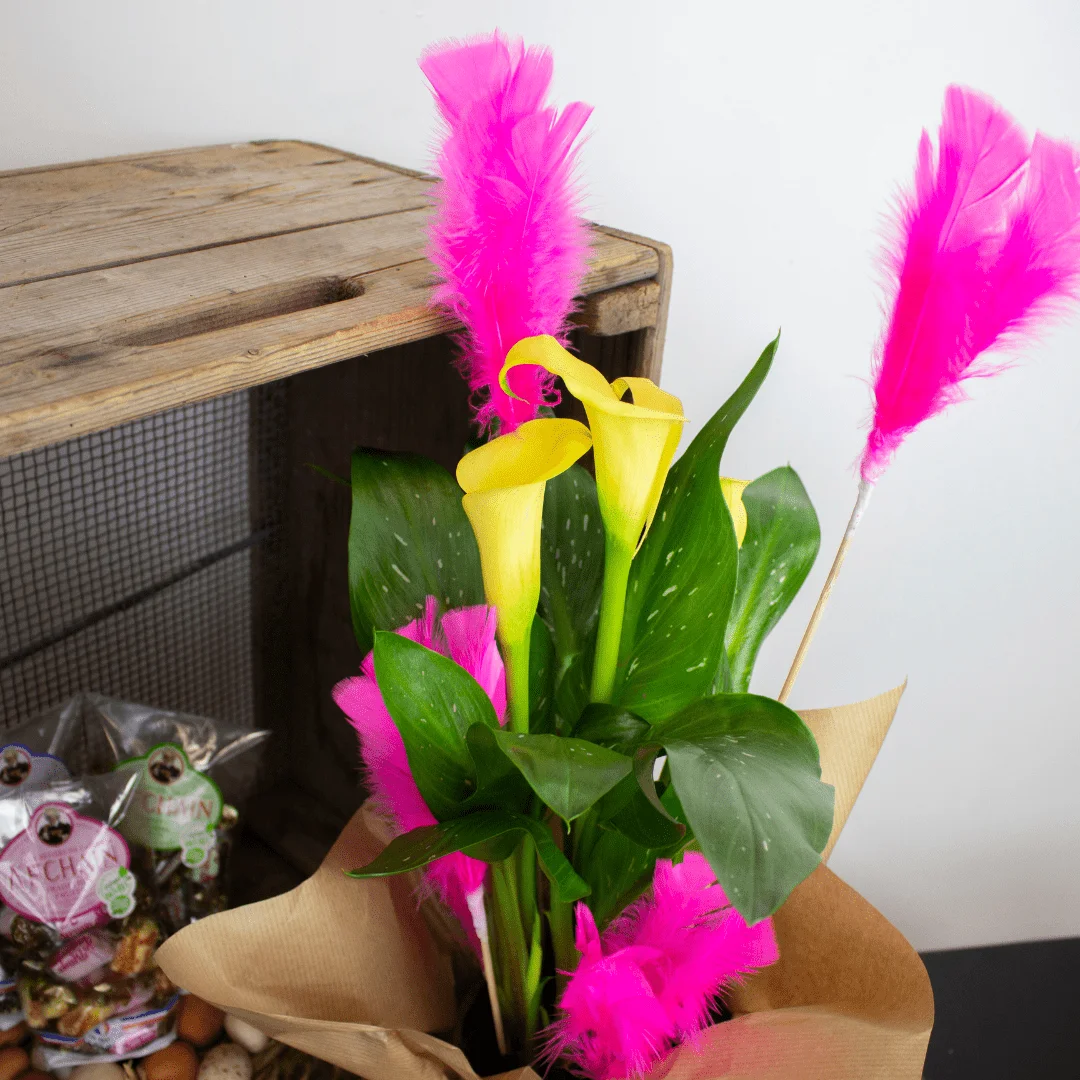 Calla de Pâques dans un pot rose avec des plumes roses