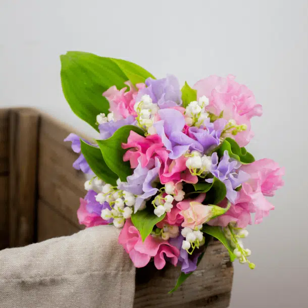 Bouquet du 1er mai : Muguet, Pois de senteur