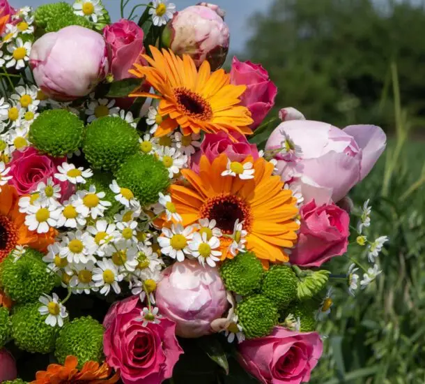 Bouquet Summer : germinis orange, matricaires, santinis vert, roses roses, pivoines roses,