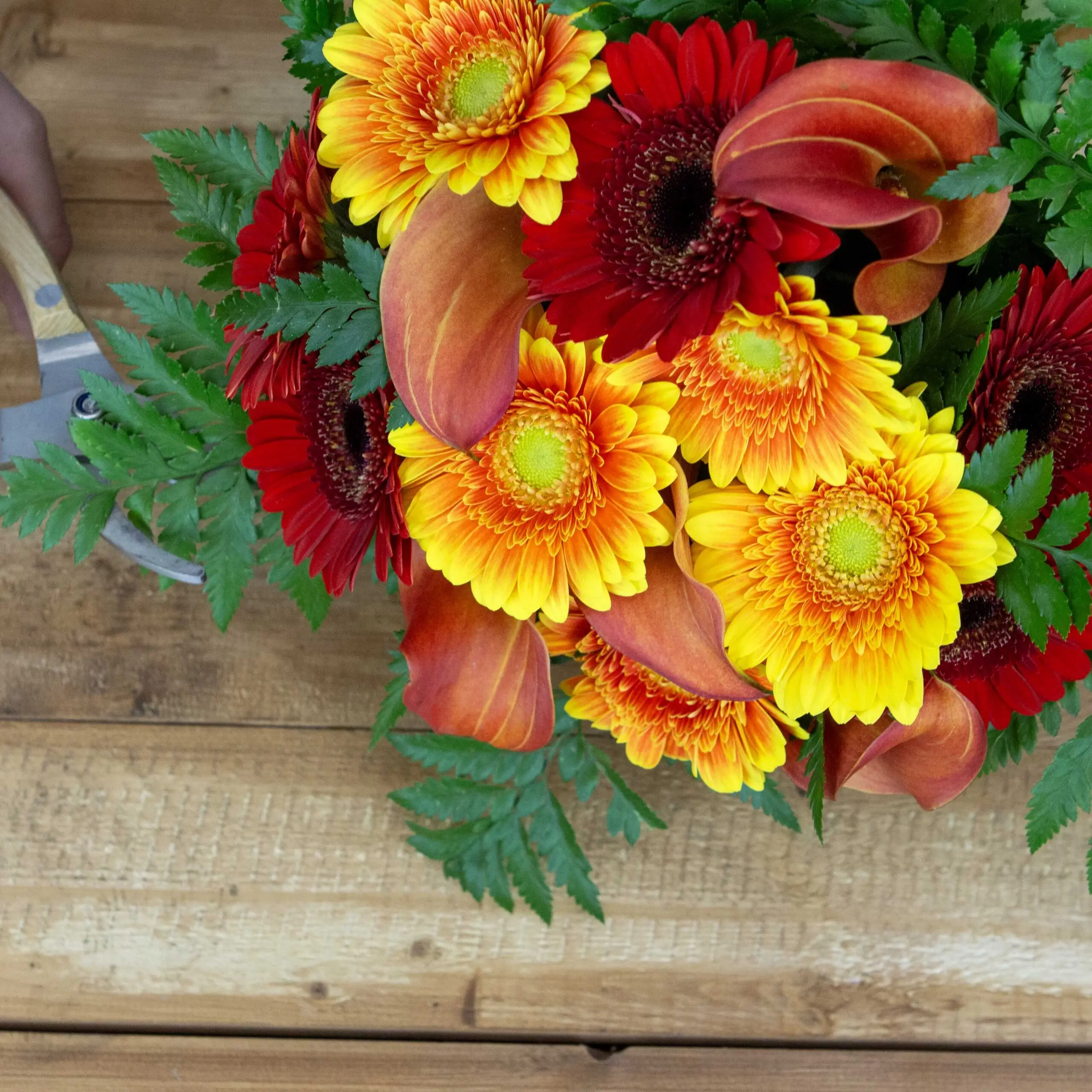 Bouquet Sun Red : germinis rouges, germinis jaunes orangés, calla orange, fougères