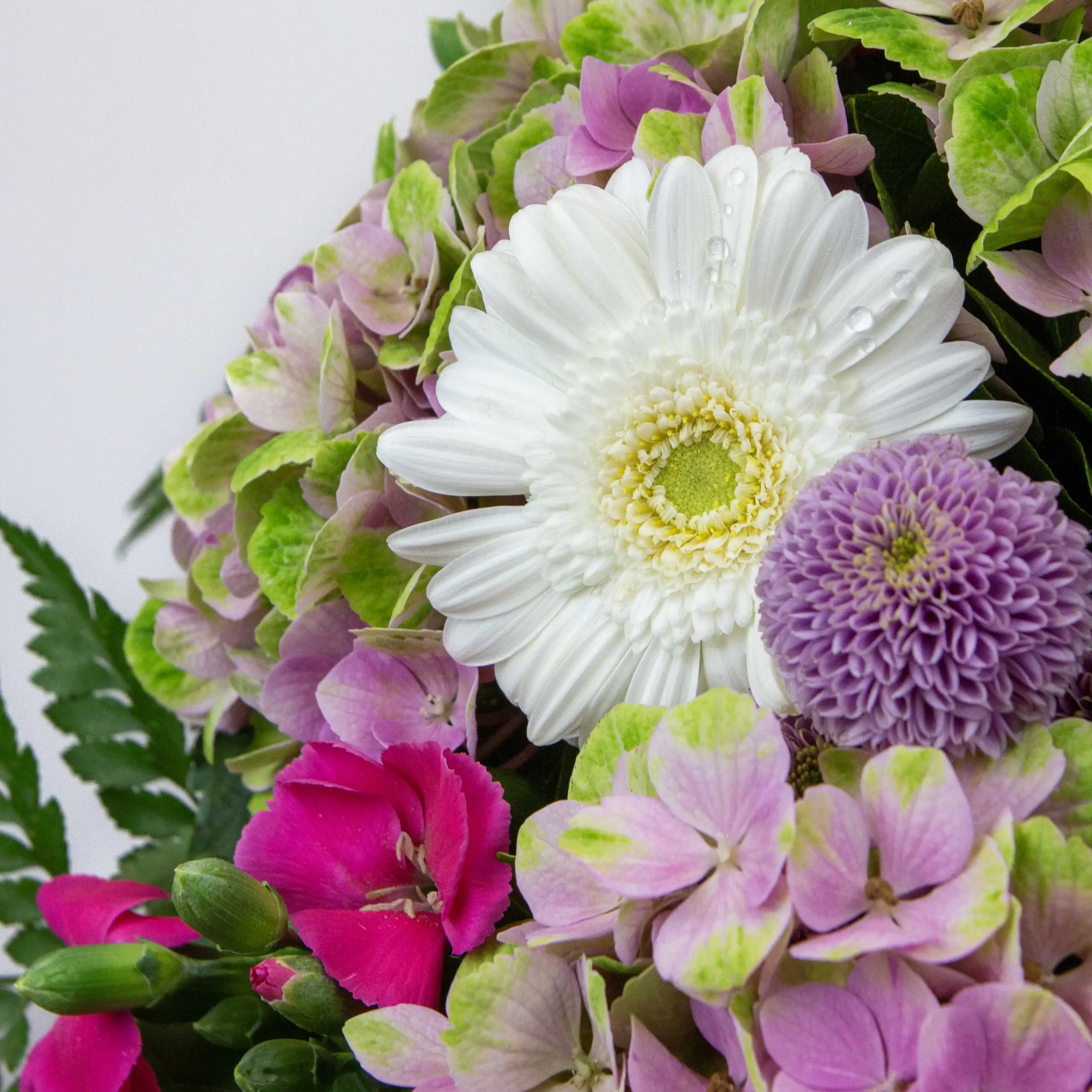 Bouquet Rosie : Hortensia rose vert, oeillets branchues, santinis roses, fougères