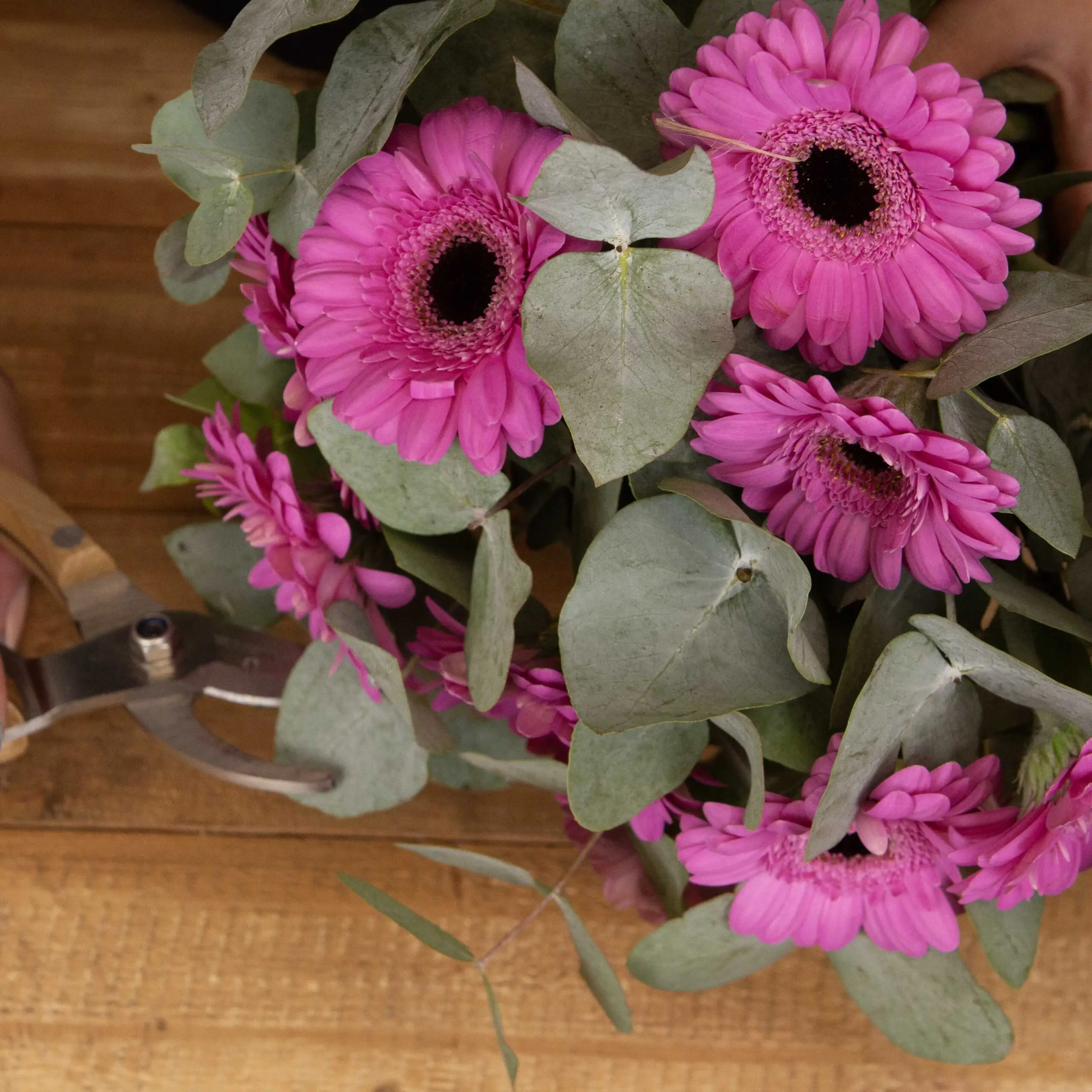 Bouquet Féerie de Germinis :germinis fushias, petites tiges eucalyptus