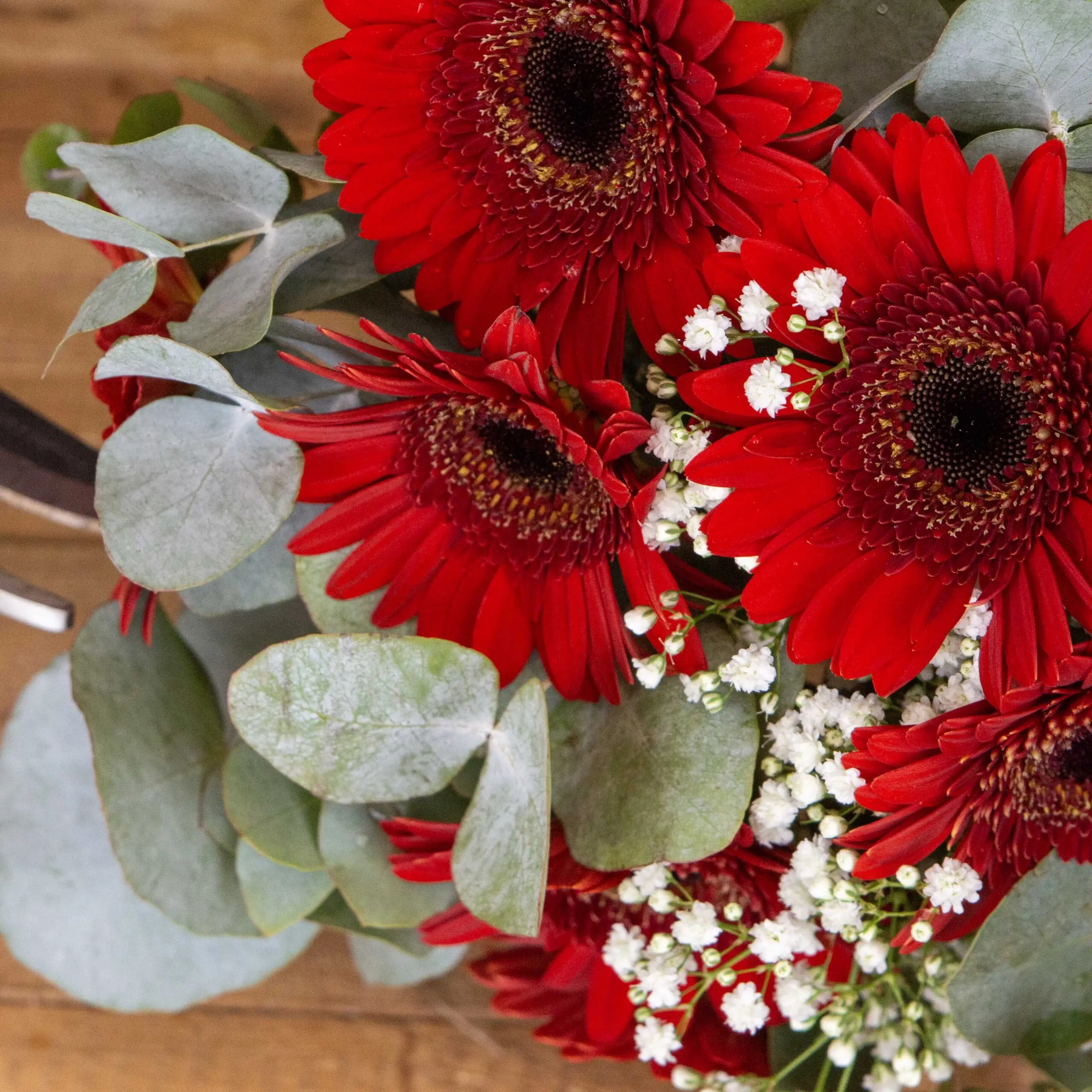 Bouquet Éternelle romance : germinis rouges, gypso, petites tiges eucalyptus