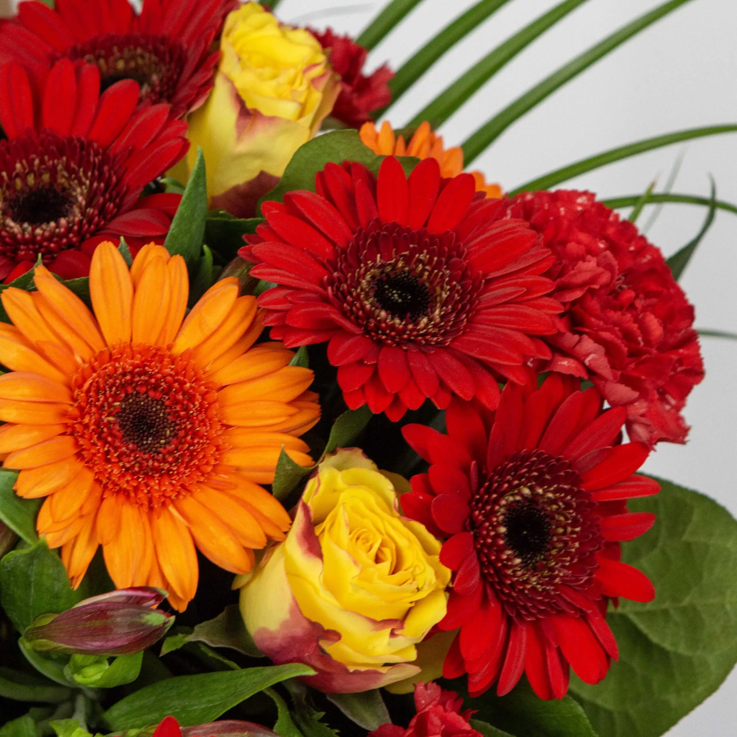 bouquet éclat de germinis, germinis rouge orange et roses jaune avec feuillage tropical