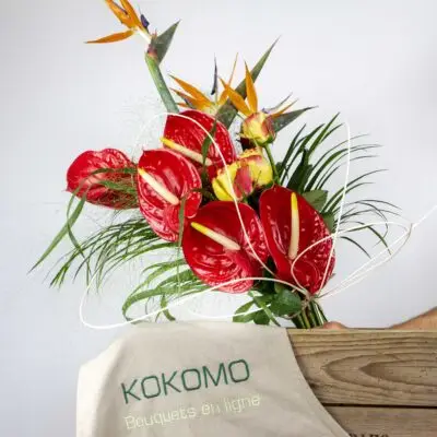 Bouquet Anthurium Ecarlate, Rouge et Strelitzia