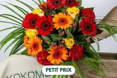 Bouquet Eclat de Germinis