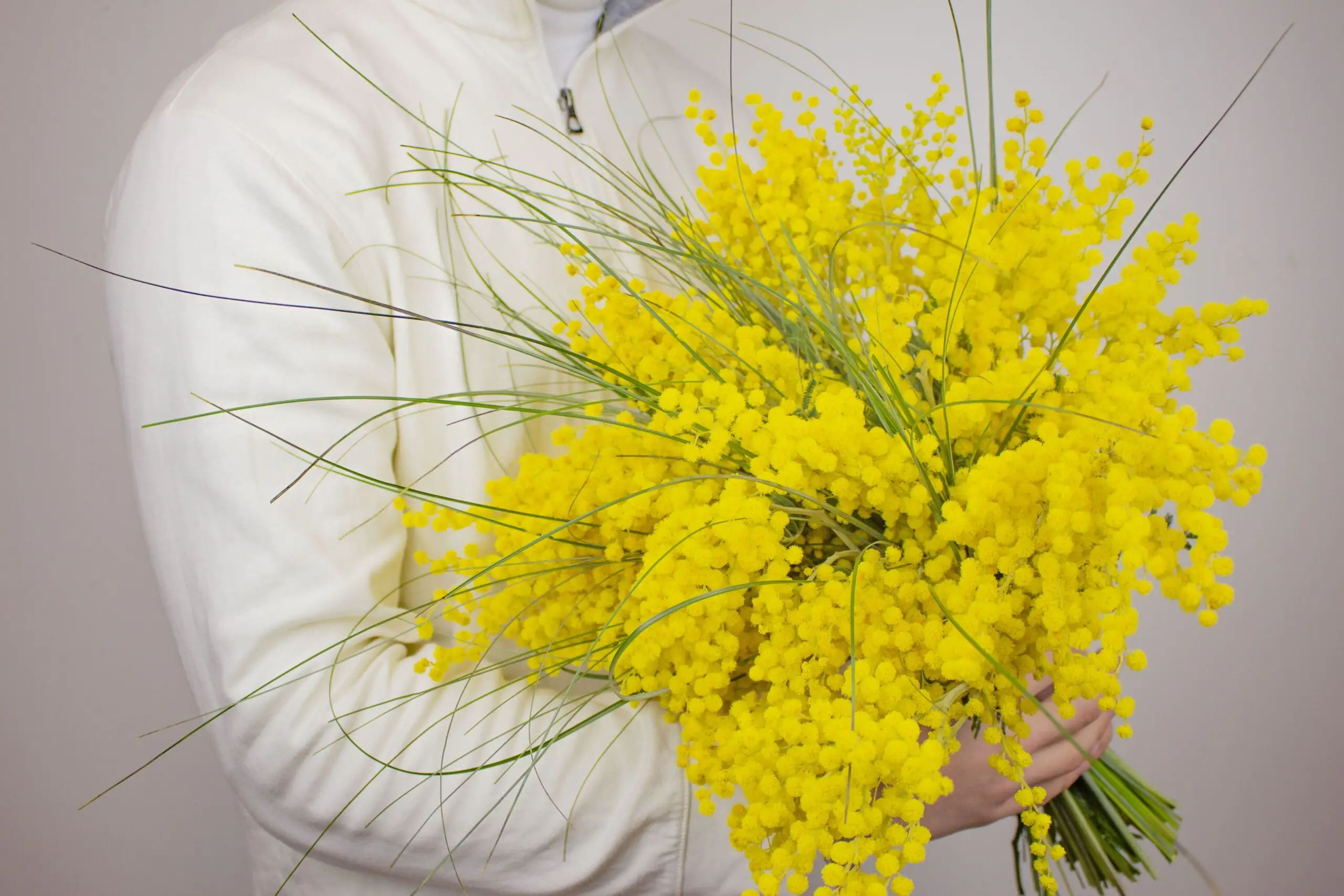 Bouquet de mimosa