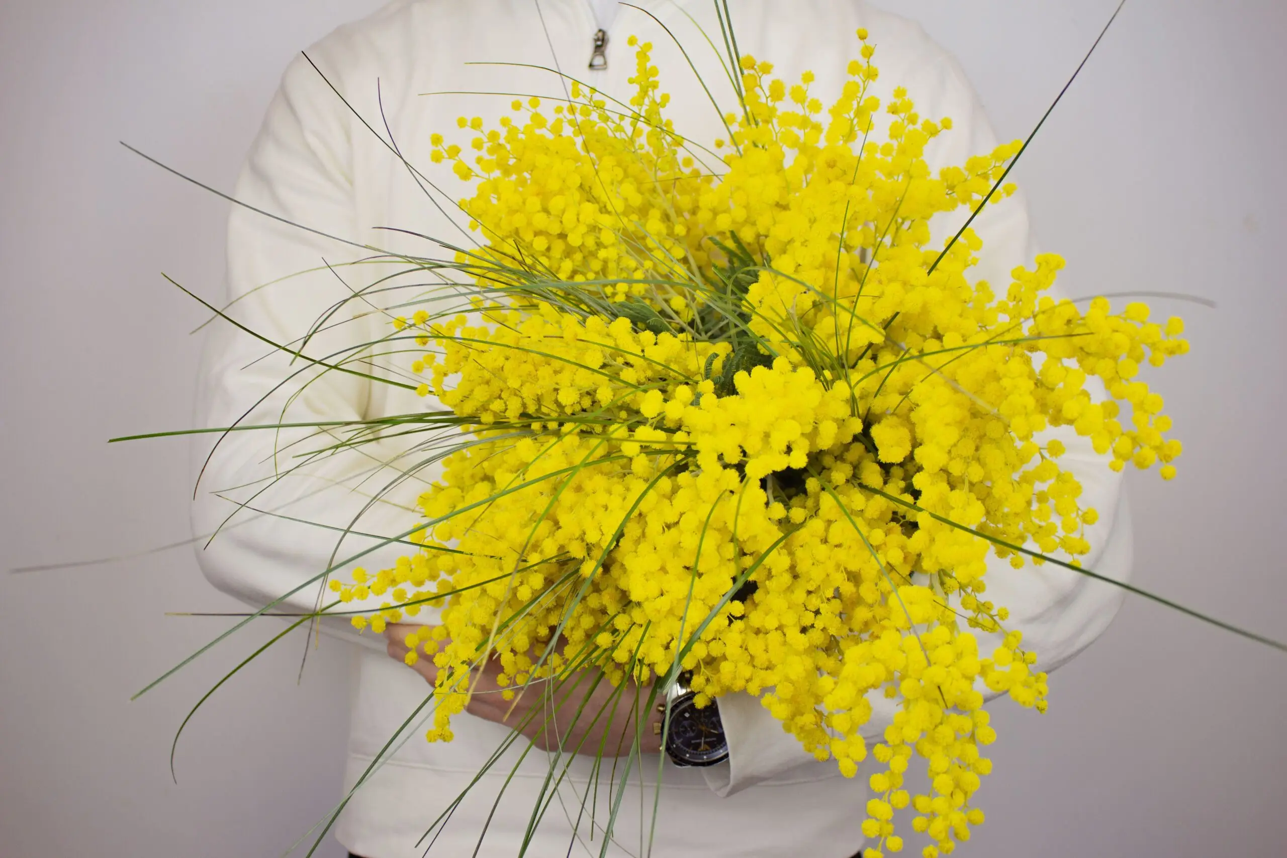 Bouquet de mimosa