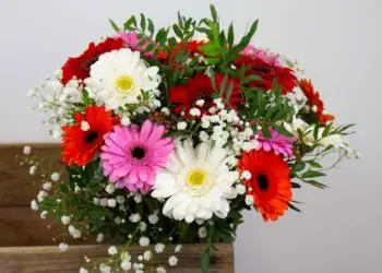 Bouquet rose, blanc et vert à offrir pour remercier une personne