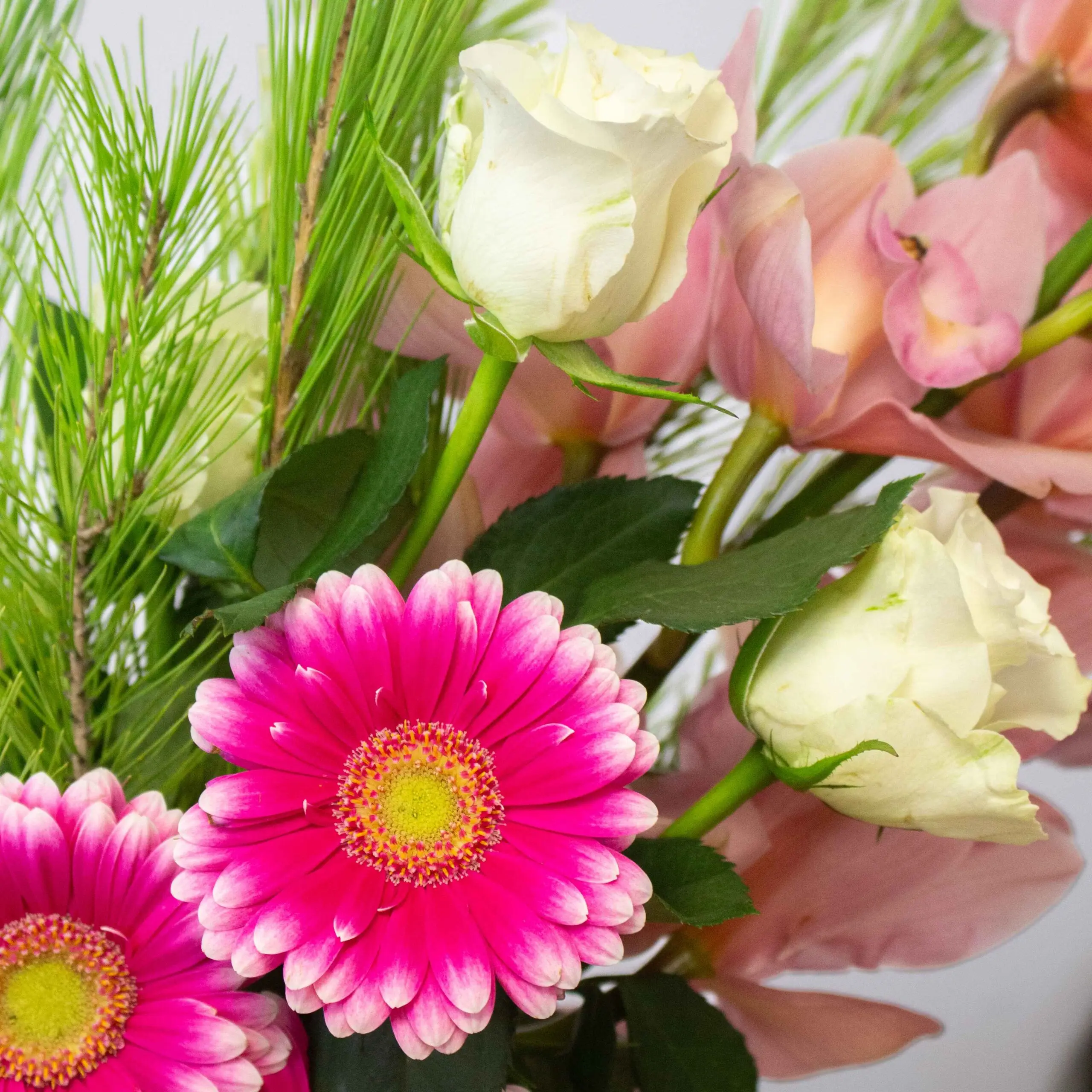 Bouquet Velours – Image 2