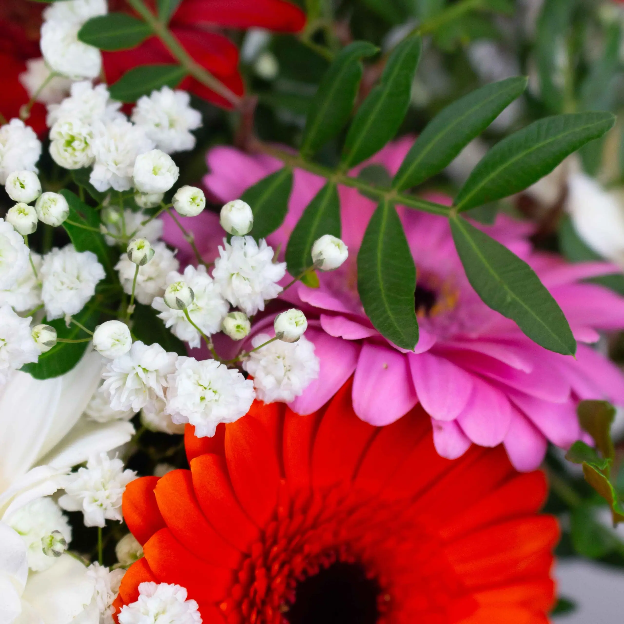 Bouquet Pop – Image 2