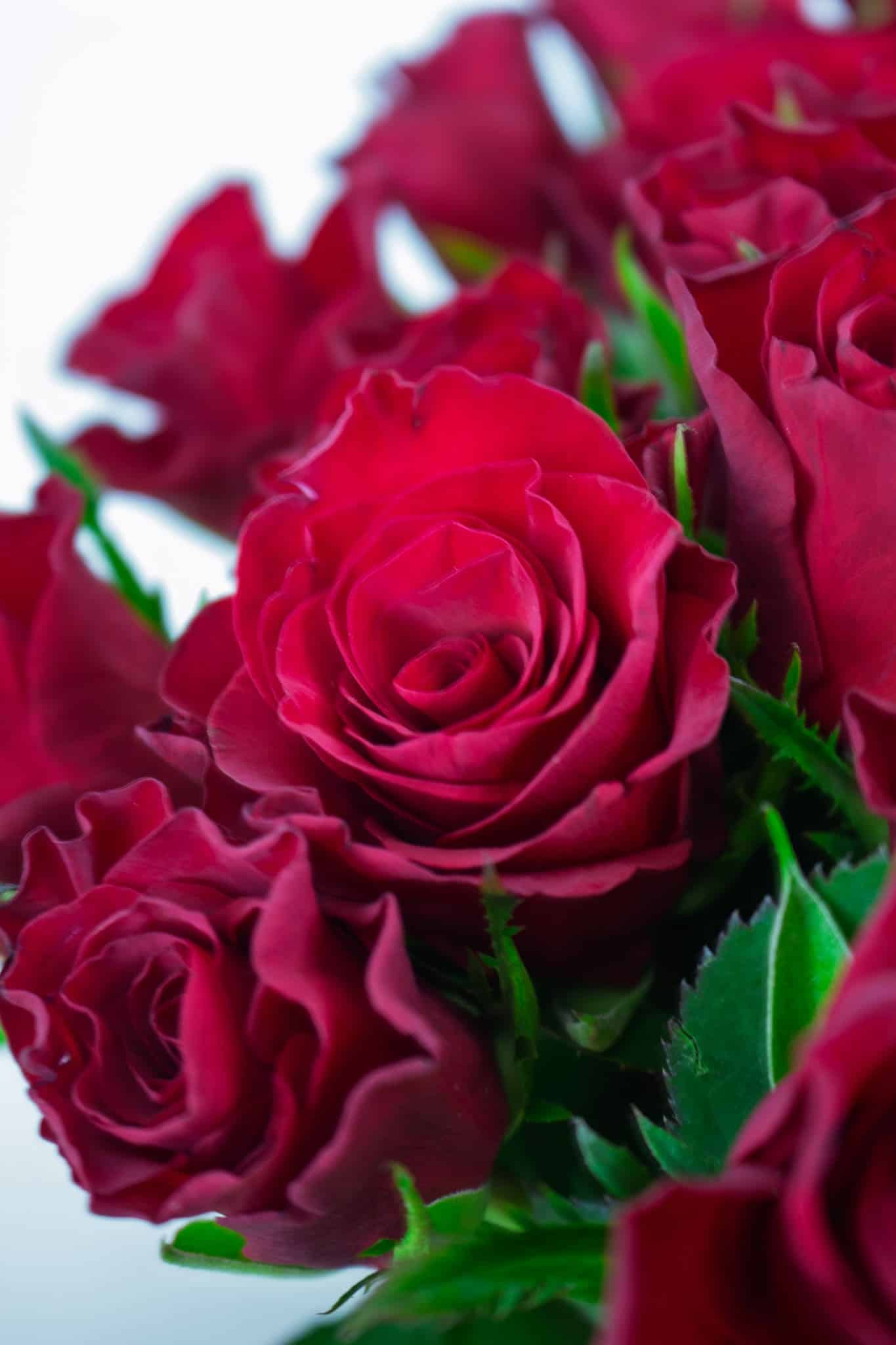 Boîte de Roses Rouges Gros Boutons - Édition Luxe | FLORAL Courchevel