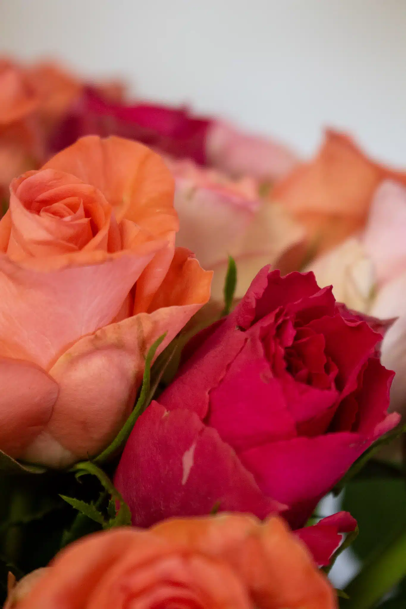 Bouquet Lumineux – Image 2
