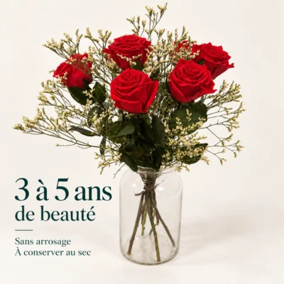Bouquet de roses rouges stabilisées en vase – 3 à 5 ans de beauté, sans arrosage, à conserver au sec