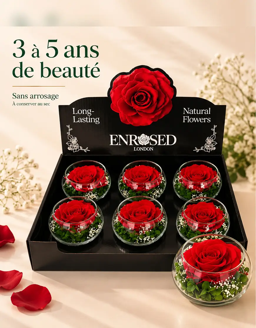 Coffret de six roses rouges stabilisées en boules de verre