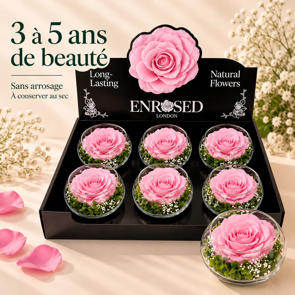Coffret de six roses roses stabilisées en boules de verre, 3 à 5 ans de beauté