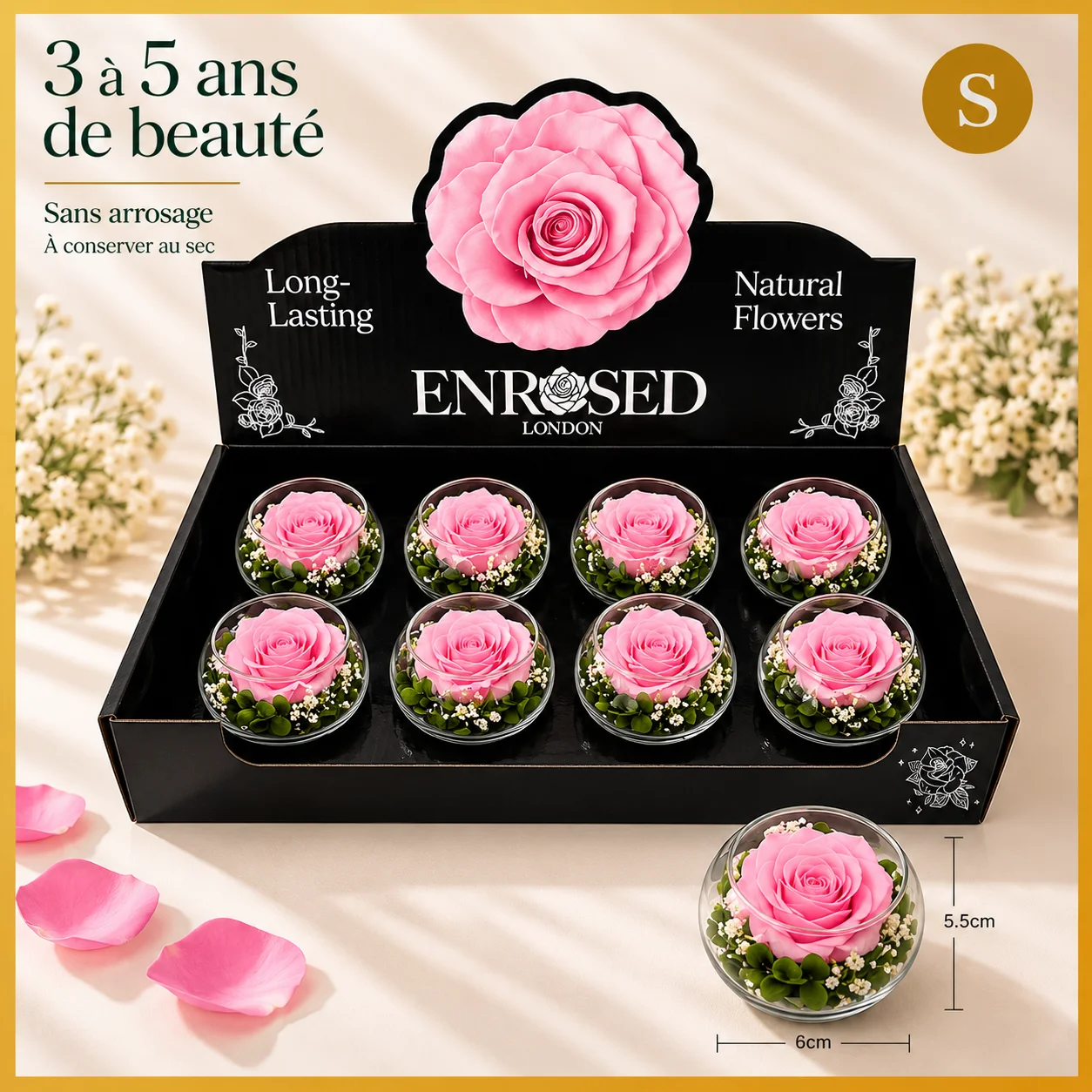 Coffret de huit petites roses roses stabilisées en boules de verre
