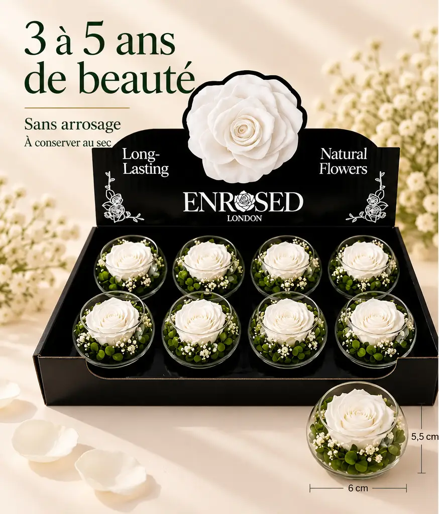 Coffret de huit petites roses blanches stabilisées dans des boules de verre