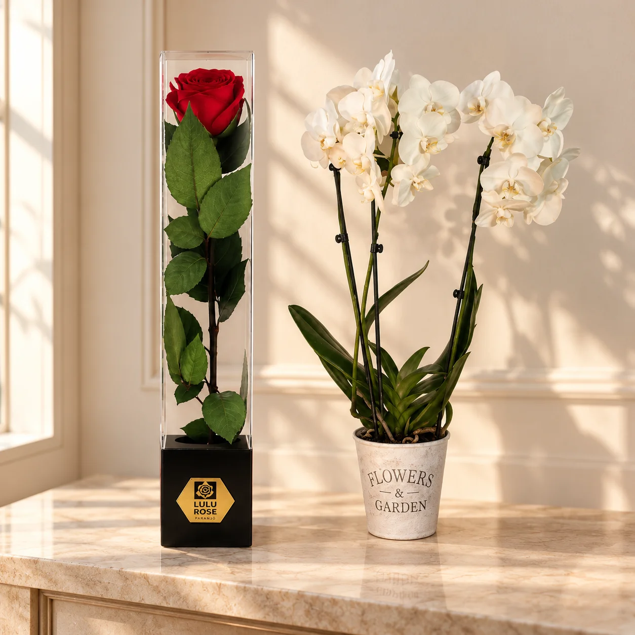 Pack Orchidée blanche et Rose rouge stabilisée — deuxième vue