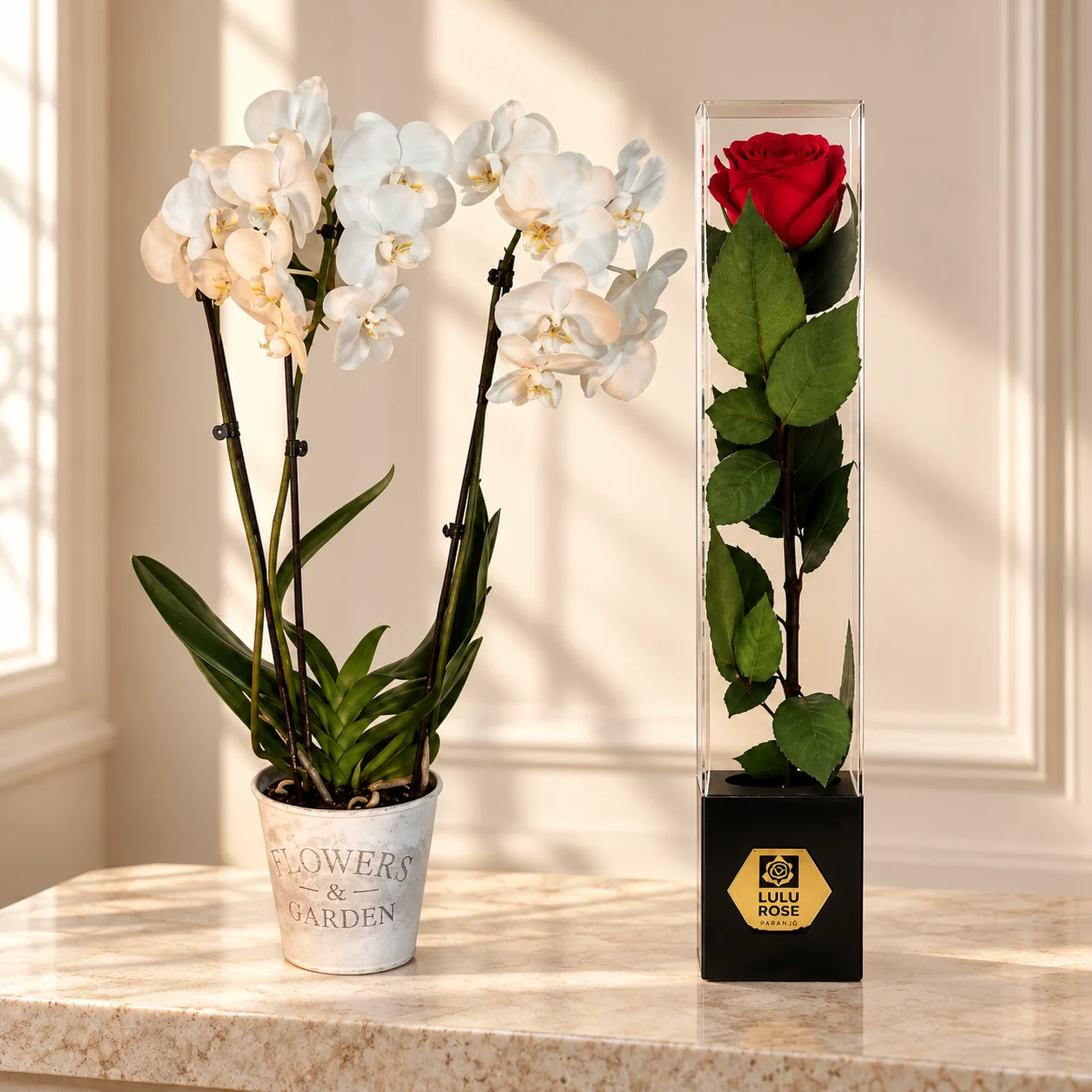Pack Orchidée blanche et Rose rouge stabilisée — photo principale