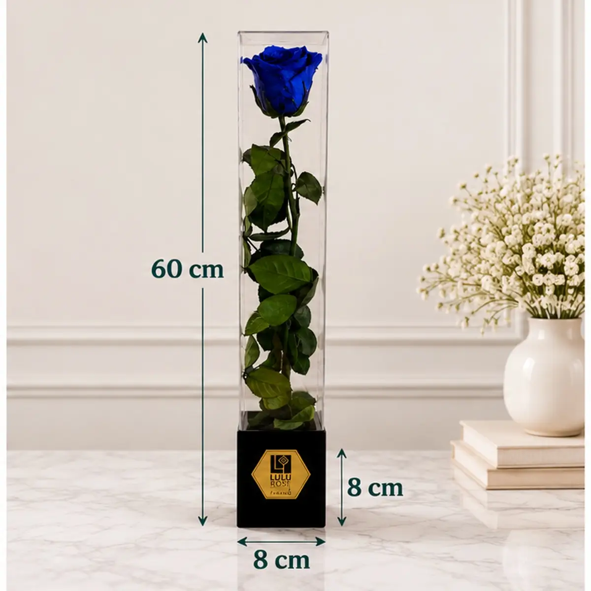 Rose bleue stabilisée en coffret transparent, hauteur 60 cm