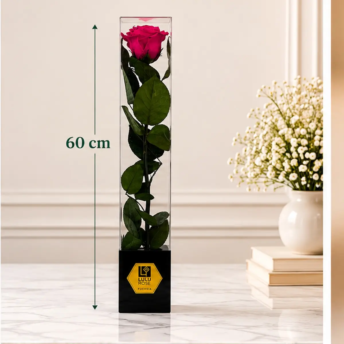 Rose fuchsia stabilisée dans son coffret transparent, hauteur 60 cm