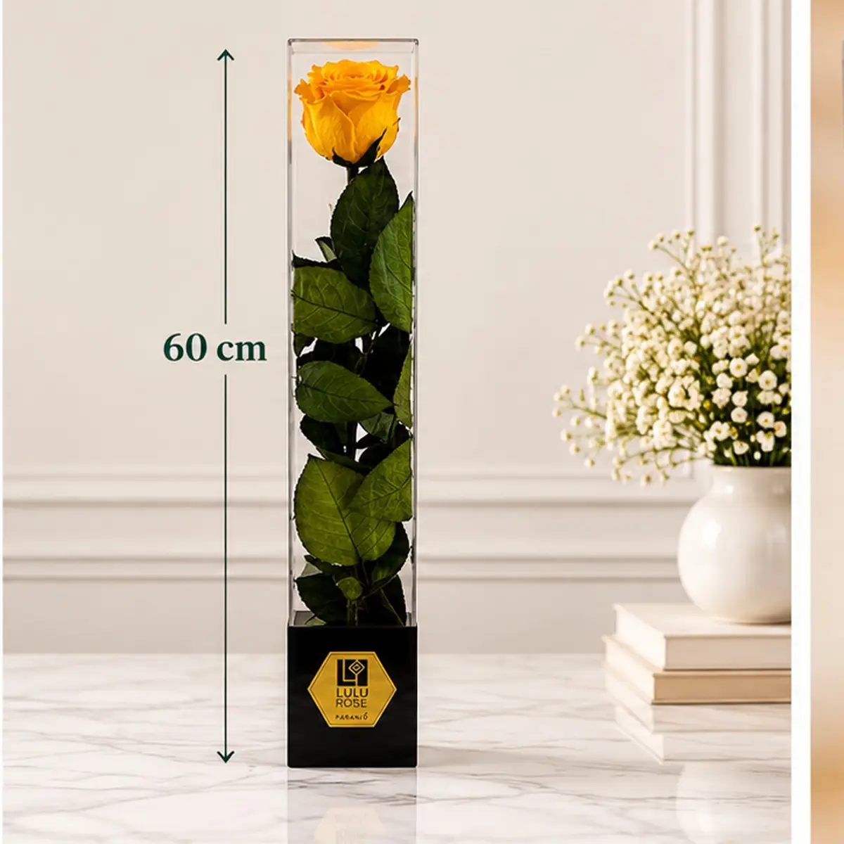 Rose jaune stabilisée en coffret transparent, hauteur 60 cm