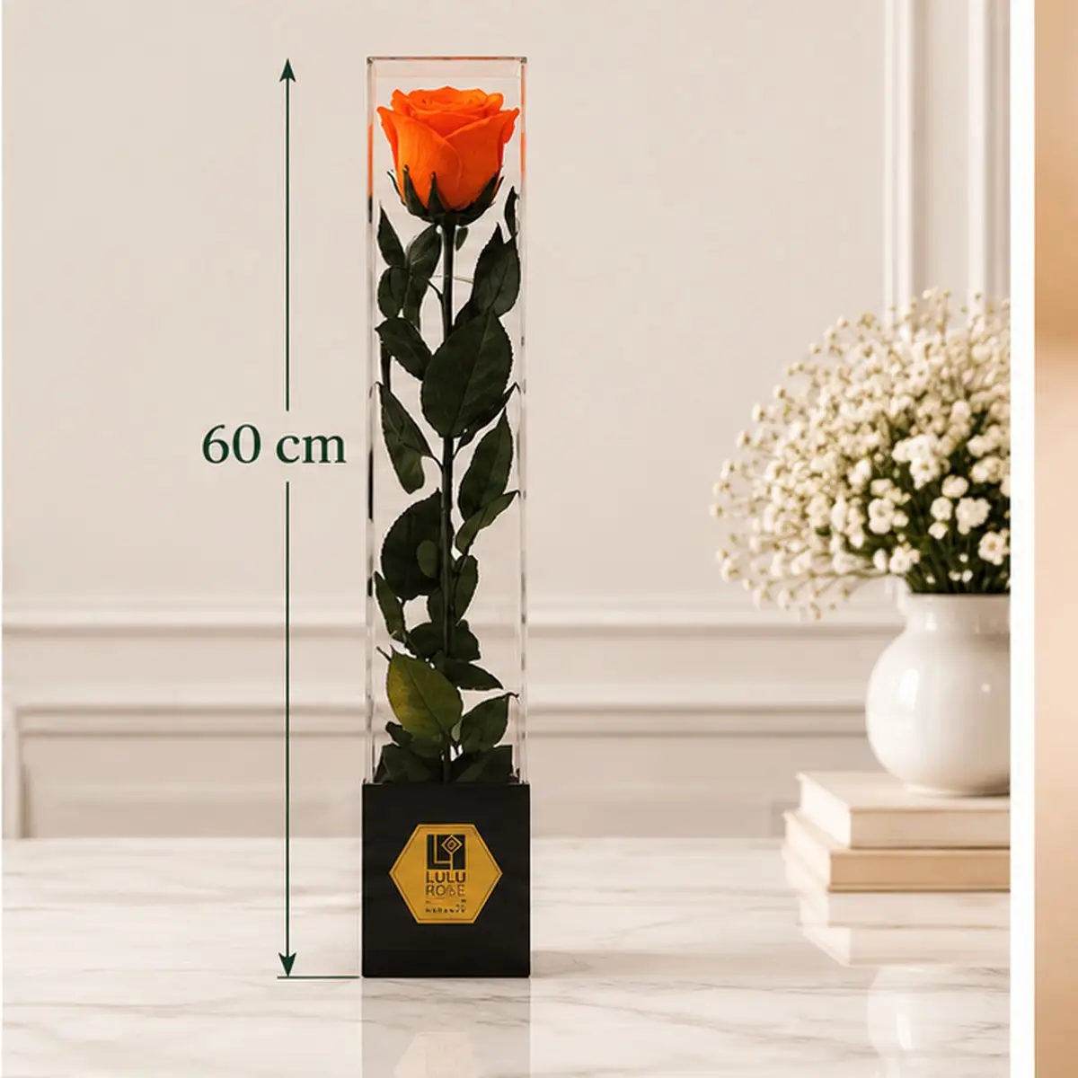 Rose orange stabilisée 60 cm dans son coffret transparent, hauteur 60 cm