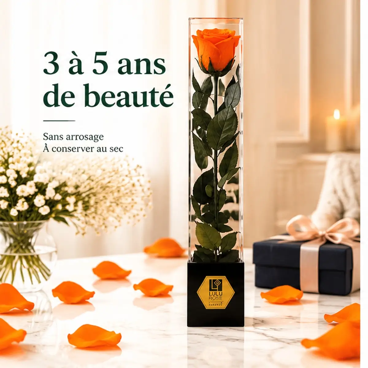 Rose orange stabilisée 60 cm en coffret transparent, 3 à 5 ans de beauté